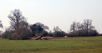 Countryside at Cotton End March 2011